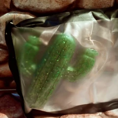 Baja Cactus Blossom Type Air Freshie