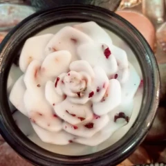 Healing Rose