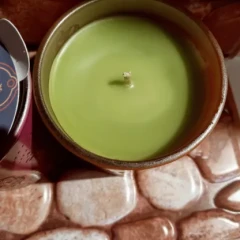 Haunted Forest Candle 6.5oz